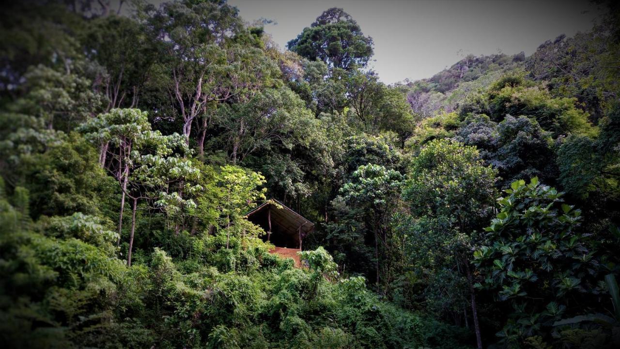 Chalet In The Jungle Pallegama Екстериор снимка