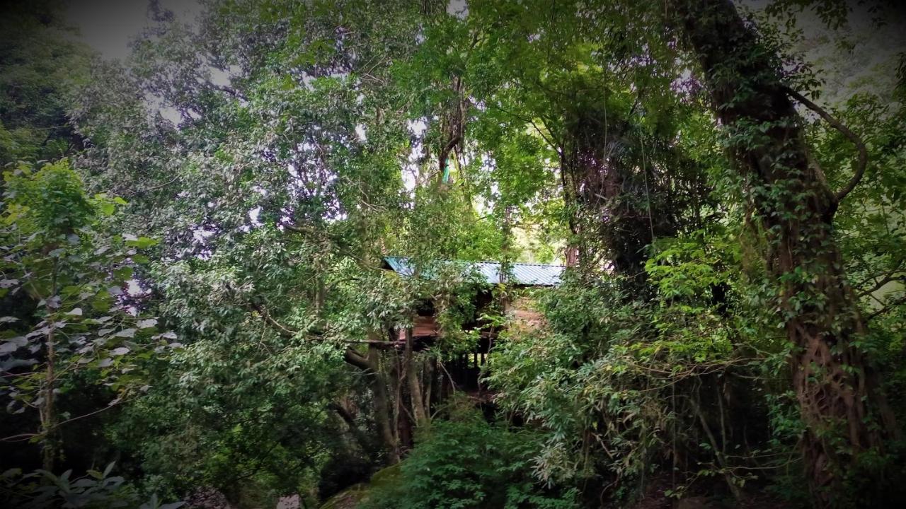 Chalet In The Jungle Pallegama Екстериор снимка