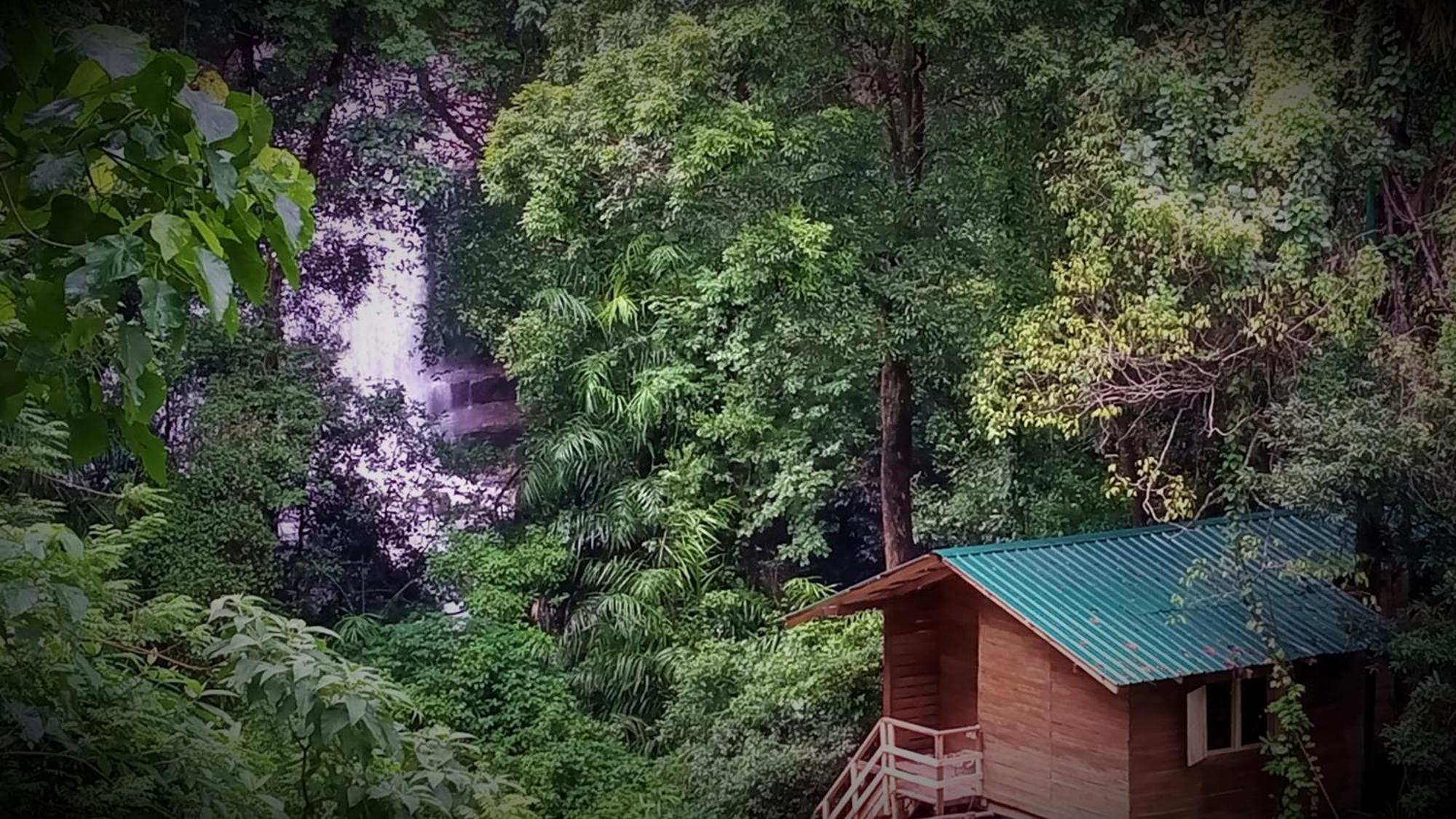 Chalet In The Jungle Pallegama Екстериор снимка