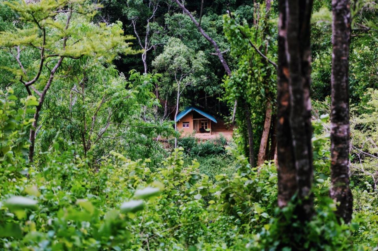 Chalet In The Jungle Pallegama Екстериор снимка