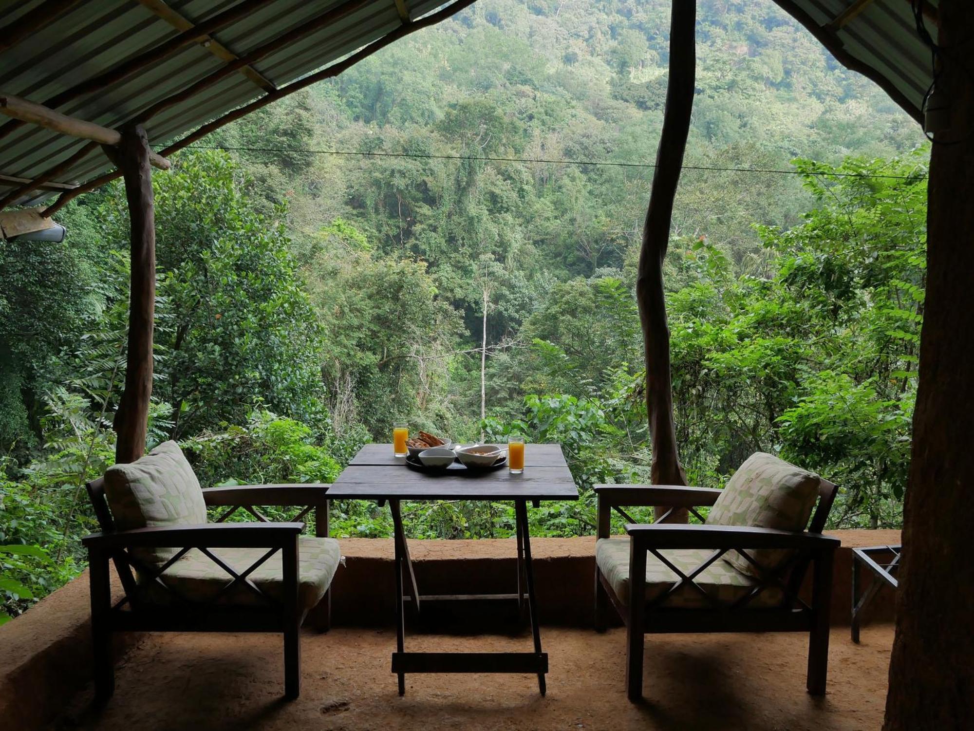 Chalet In The Jungle Pallegama Стая снимка